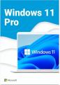 Win Pro FPP 11 64-bit Eng Intl USB